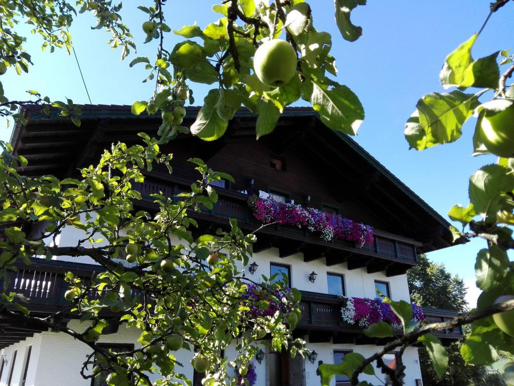 Villa Schusterbauer Koppl Exterior foto