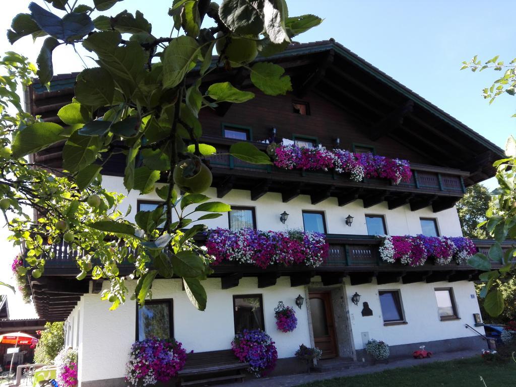 Villa Schusterbauer Koppl Exterior foto