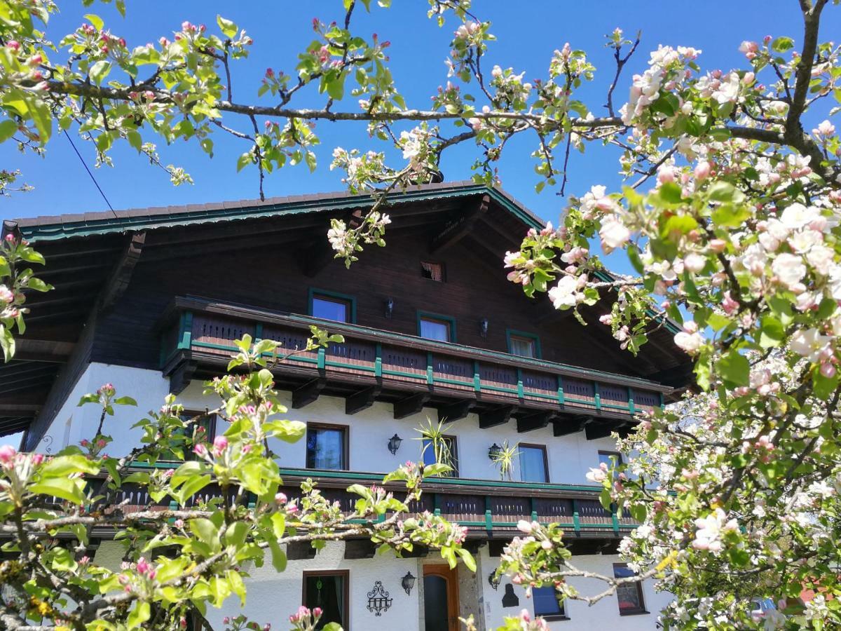 Villa Schusterbauer Koppl Exterior foto